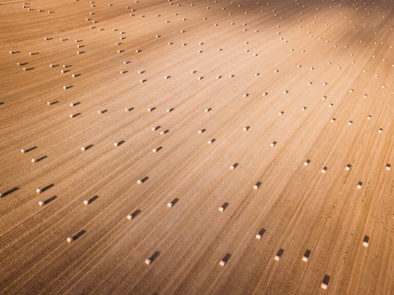acoustic membrane floor