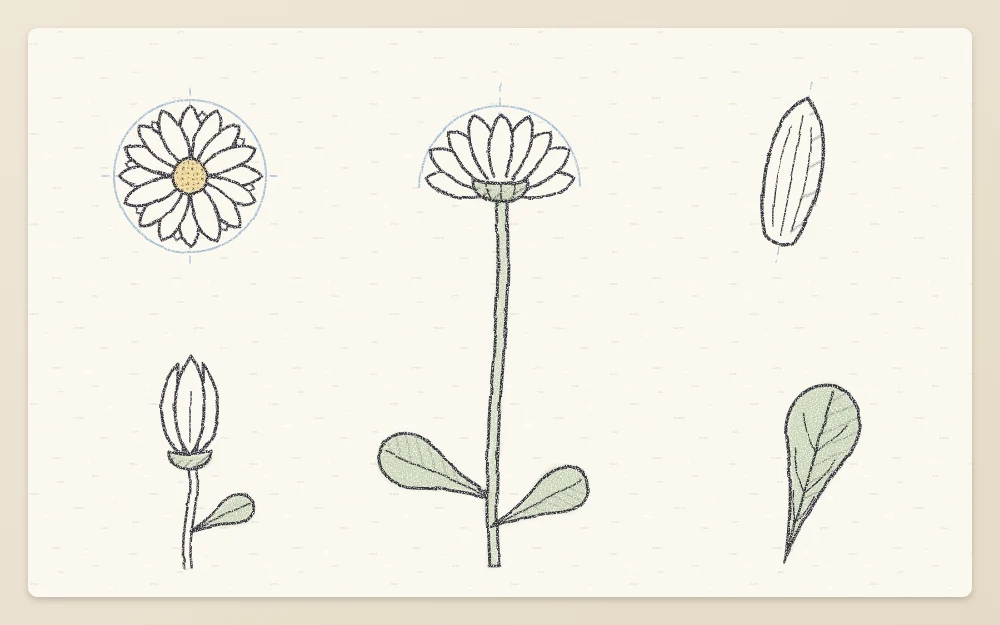 Study page with a large side view of a flower surrounded by a front view, bud, petal and leaf