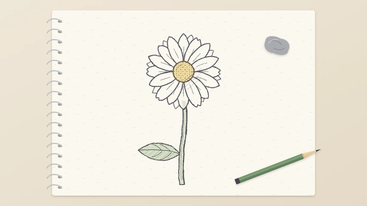 Finished pencil drawing of a single daisy with a dotted center, a slender curved stem and one leaf, with a faint yellow tint on the center
