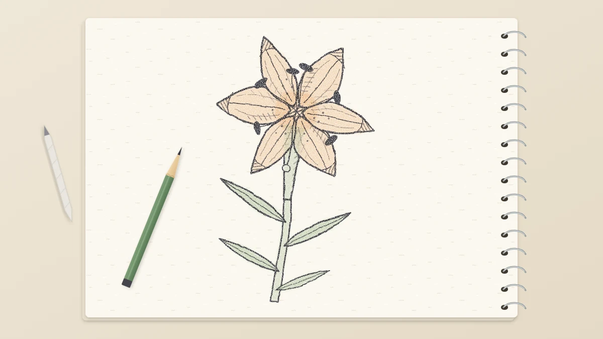 Finished pencil drawing of an open lily with six curving petals, long stamens and lance-shaped leaves on the stem