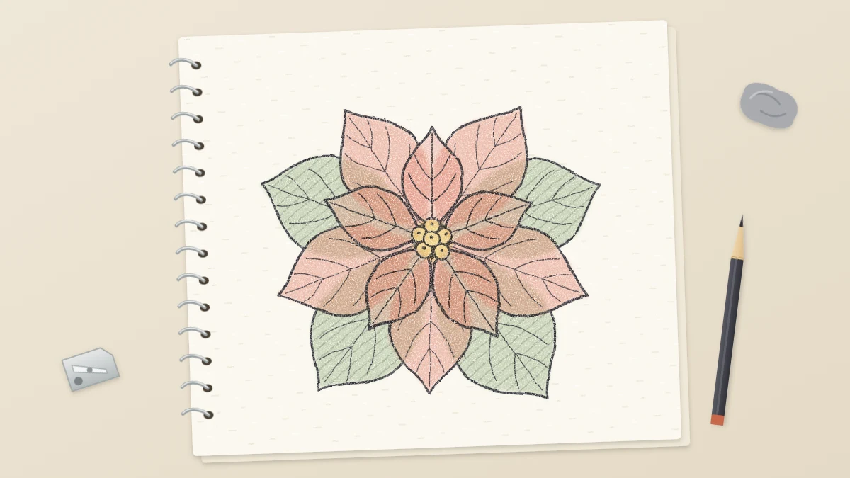 Finished pencil drawing of a poinsettia from above with two layers of pointed bracts and round buds in the center
