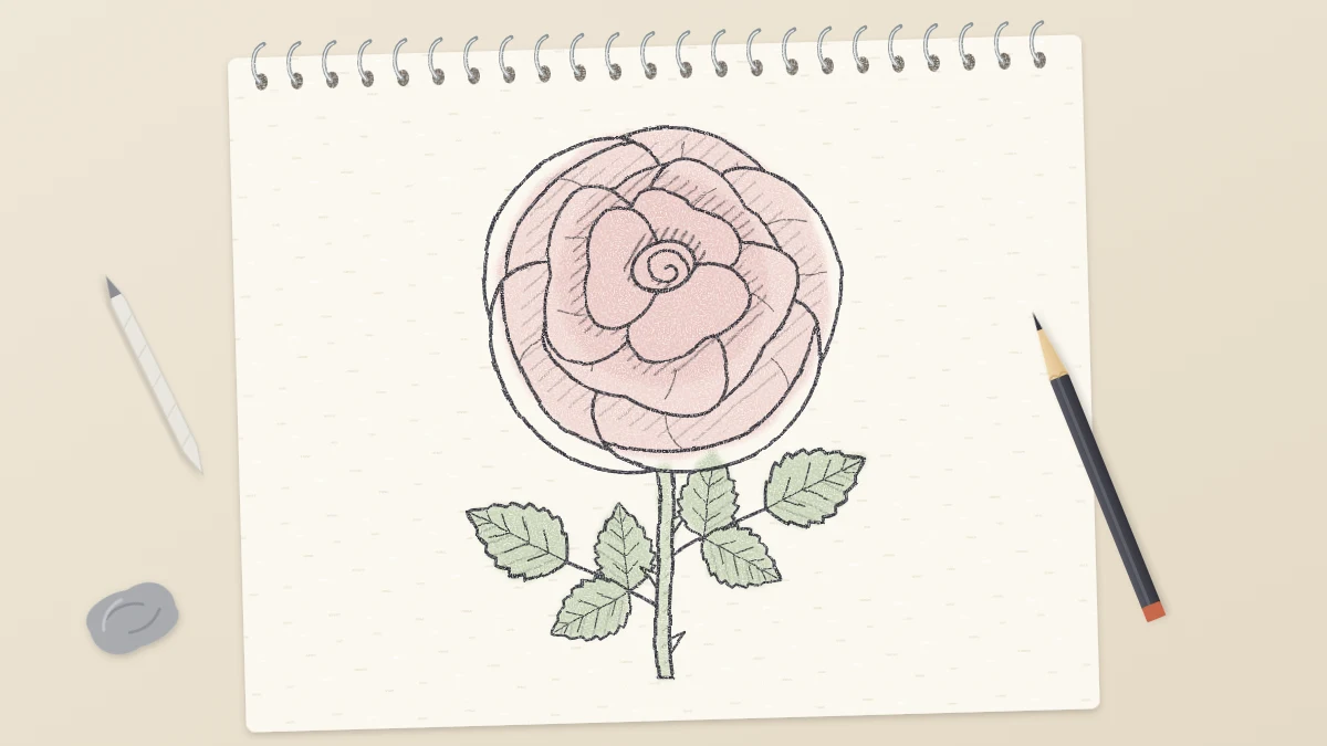 Softly shaded pencil drawing of an open rose seen from slightly above with two leaves and a faint pink tint on the petals