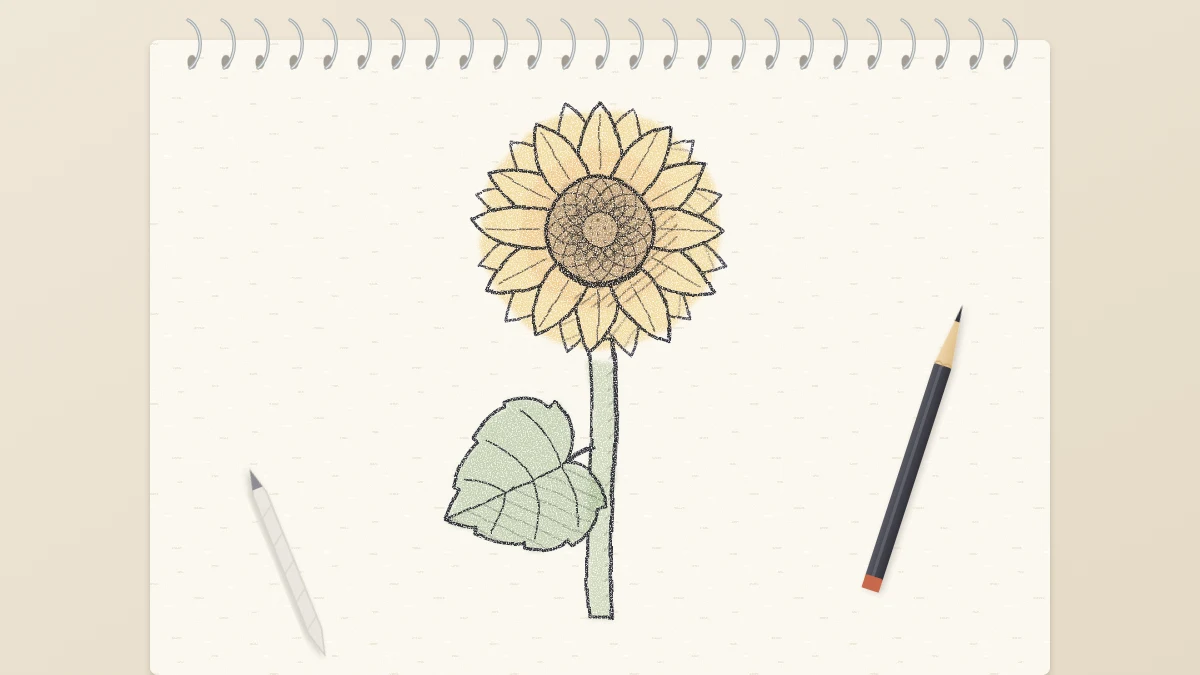 Finished pencil drawing of a large sunflower with two rows of pointed petals, a textured center, a thick stem and one heart-shaped leaf