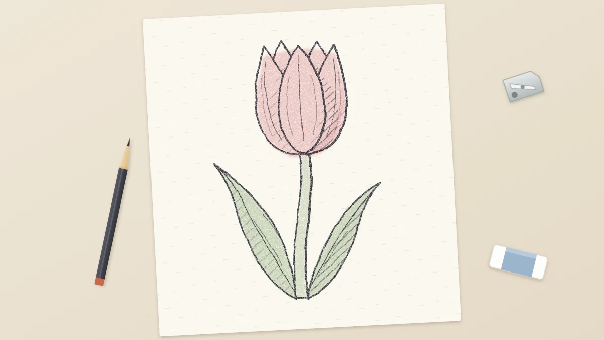 Finished pencil drawing of a single tulip with a curved stem and two long leaves, the petals tinted with a soft pink wash