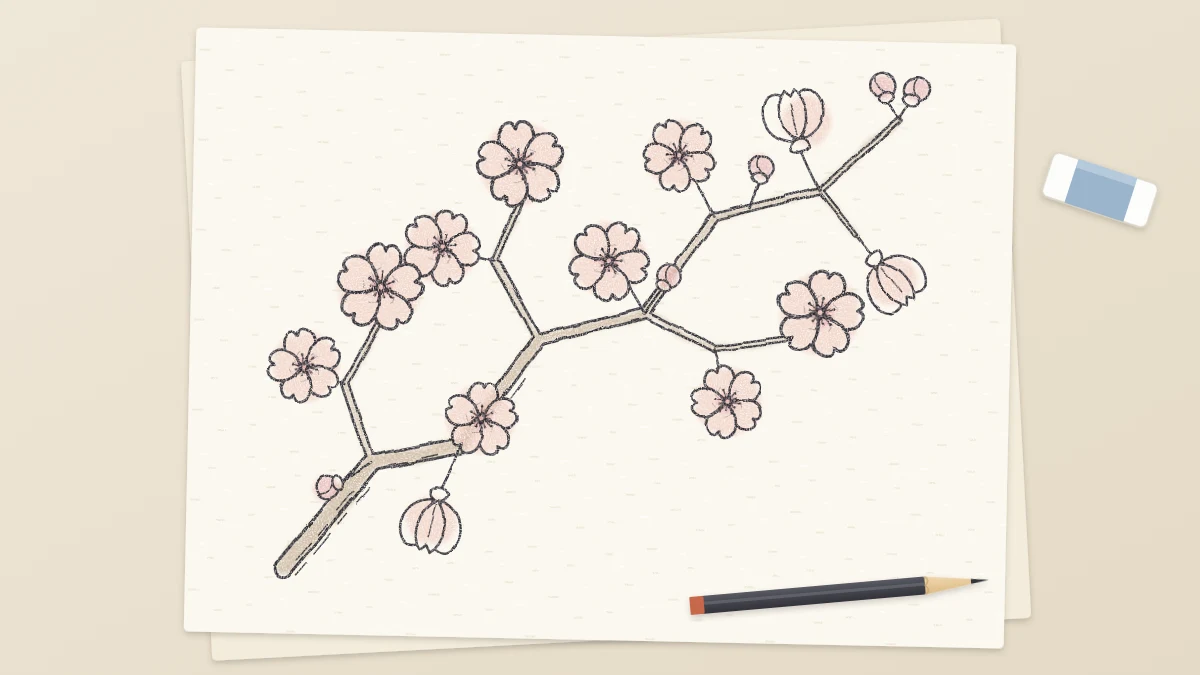 Finished pencil drawing of a cherry blossom branch crossing the page diagonally with clusters of five-petal blossoms and buds