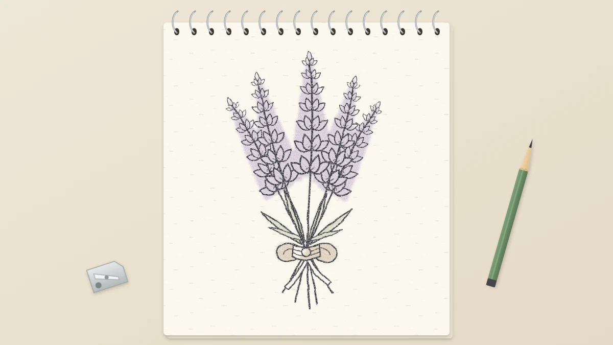 Finished pencil drawing of a small bunch of five lavender sprigs tied with twine, with a soft purple tint