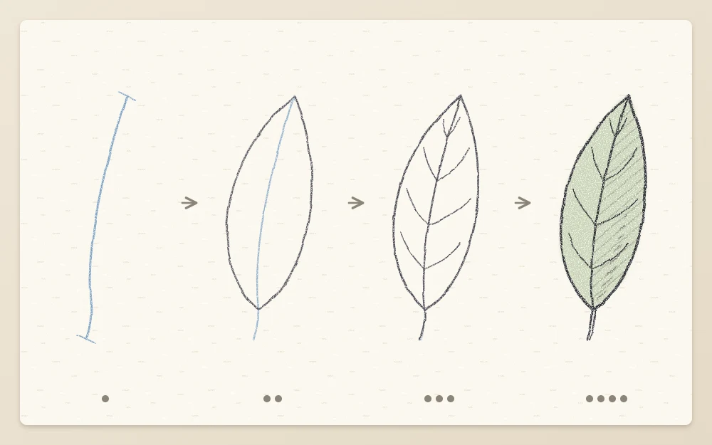 Four step panels of one leaf: curved midrib, outline on both sides, side veins toward the tip, one half shaded