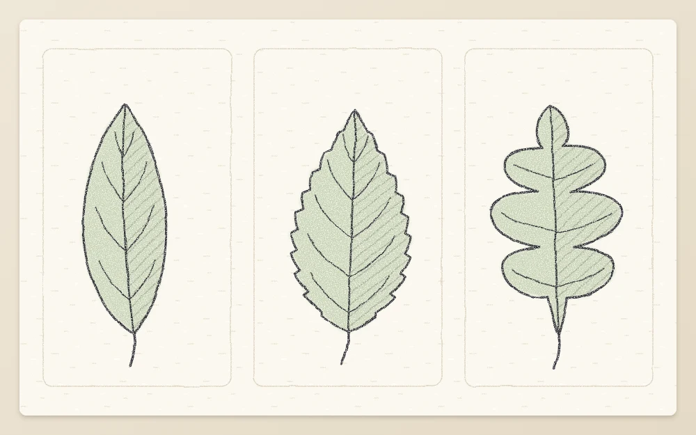 Three leaves side by side with different edges: a smooth edge, a toothed edge and a lobed edge